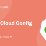 Spring Cloud Config Spring Cloud Config