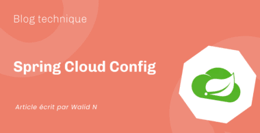 Spring Cloud Config Spring Cloud Config